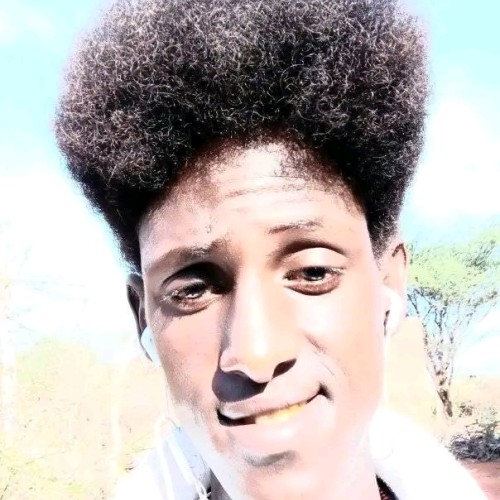 Nachep Z. profile photo