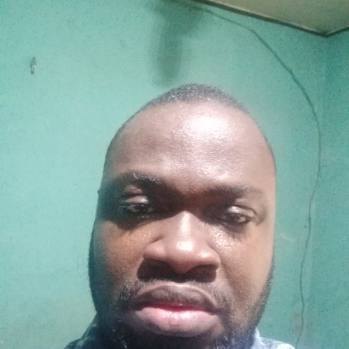 Adeniyi O. profile photo