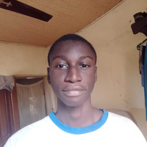 chukwuemeka p.