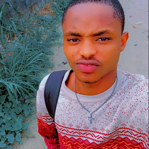 Nwankwo  V. profile photo