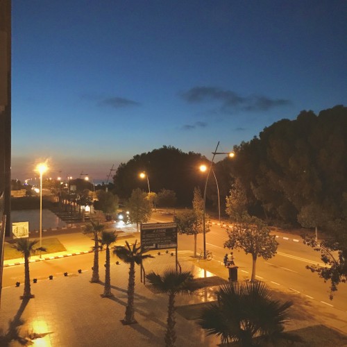 Yassine R. profile photo