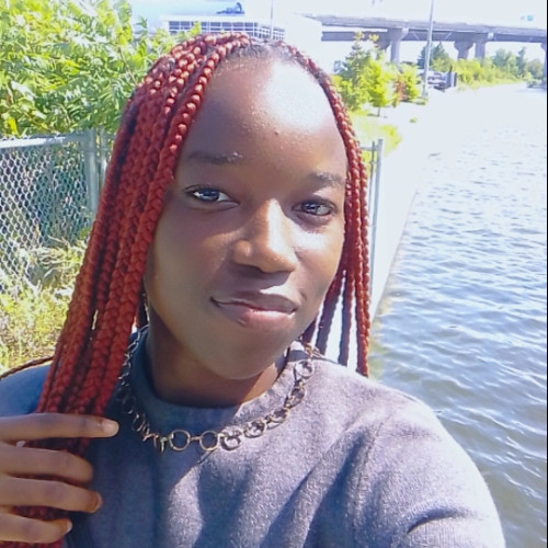 France N. profile photo