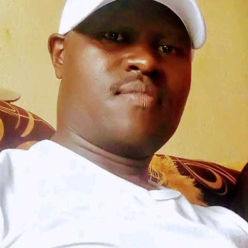 Sylvester k.