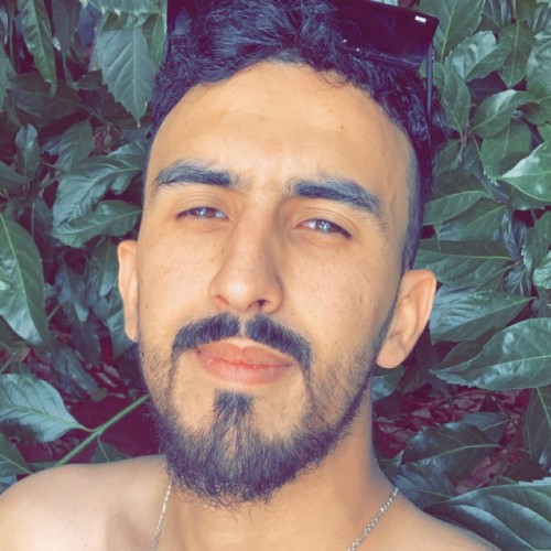 Ayoub H.