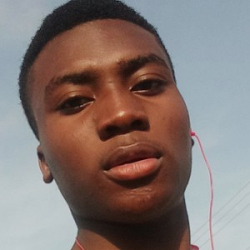 Peter  B. profile photo