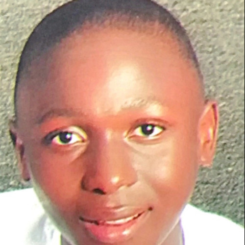 Solomon  D. profile photo