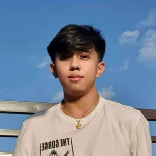 James Vincent L. profile photo