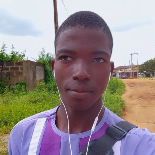 Olatunji P. profile photo