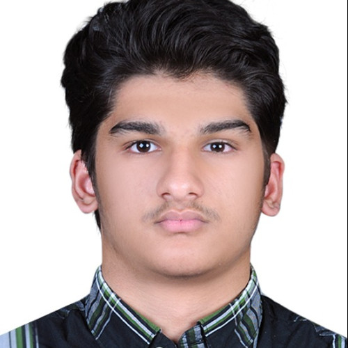 syed A. profile photo