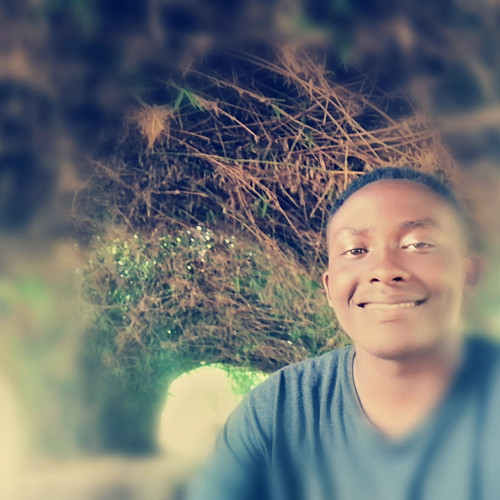 AMOS L. profile photo