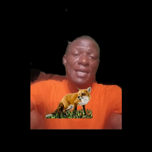 Adediji M. profile photo