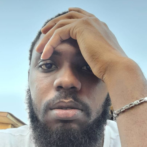 Kingsley  N. profile photo