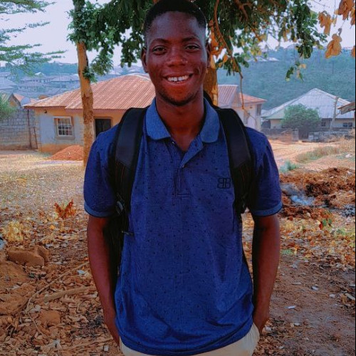 Olawuyi T.