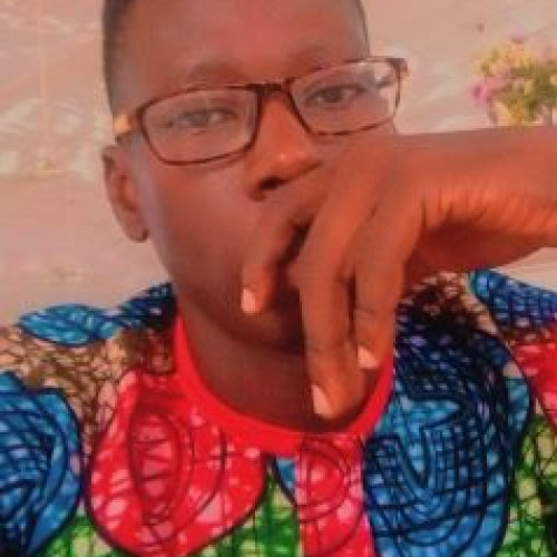 BOLAJI O. profile photo