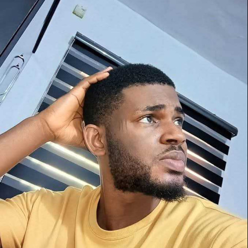 Tochukwu A. profile photo