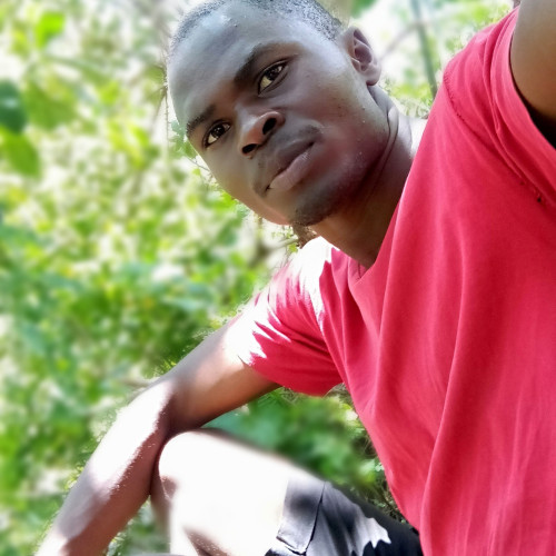 NICHOLAS Y. profile photo
