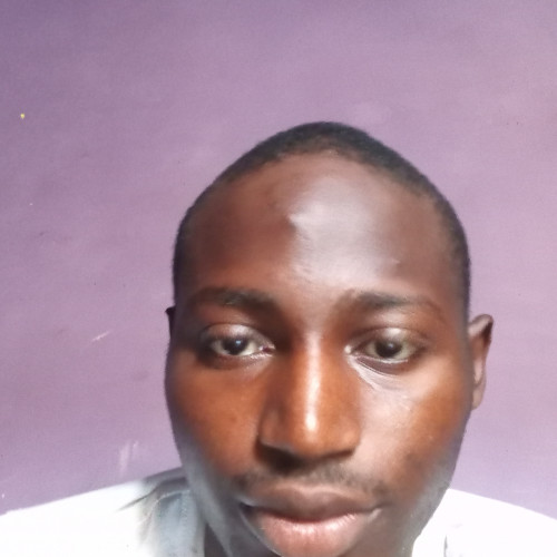 Adebayo D. profile photo