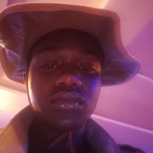 Allan  K. profile photo