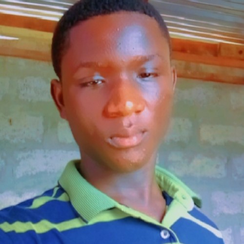 Seth A. profile photo