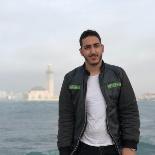 Taoufik E.
