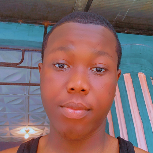 Goodluck  W. profile photo