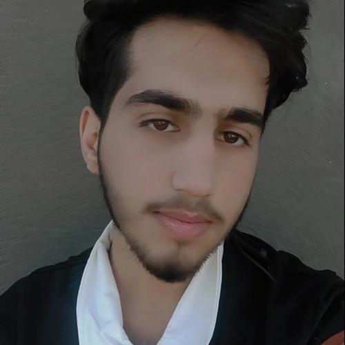 Ali A. profile photo