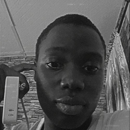 Taiwo A. profile photo