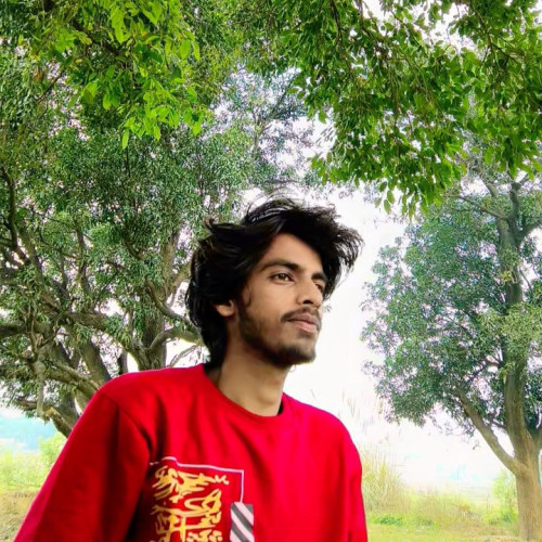 Cruise b. profile photo