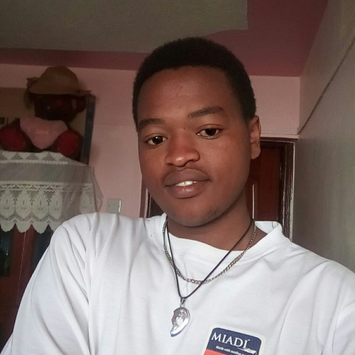 Martin N. profile photo