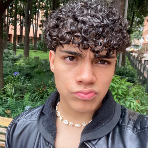 Sebastian  D. profile photo