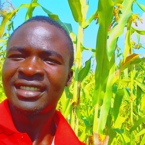Japheth O. profile photo