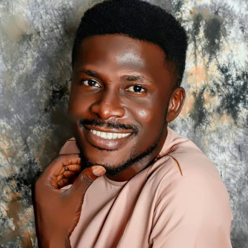 Oluwadamilare  O. profile photo