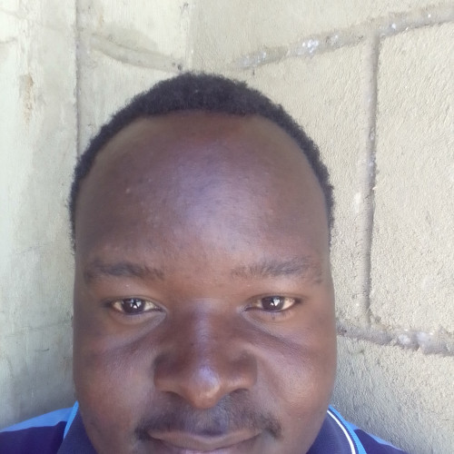 Davis K. profile photo