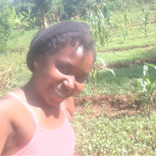 Peris p. profile photo