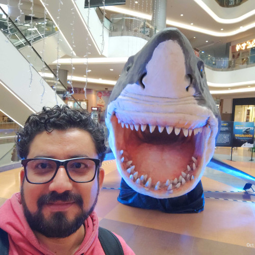 Felipe O. profile photo