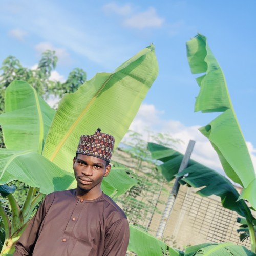 Uthman Z. profile photo