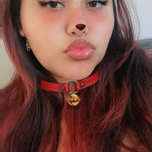 Vera D. profile photo