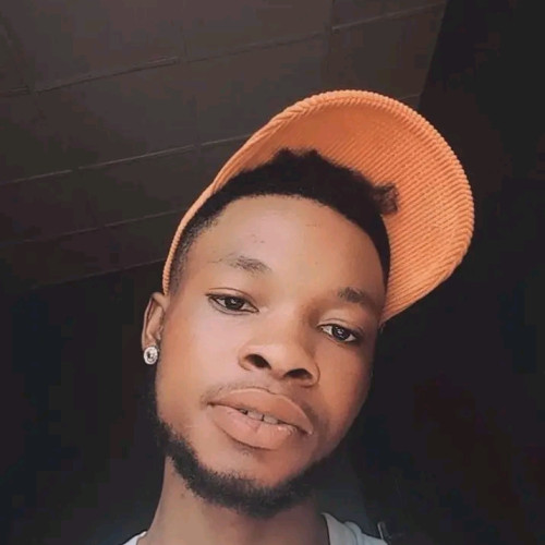 Odeyemi S. profile photo