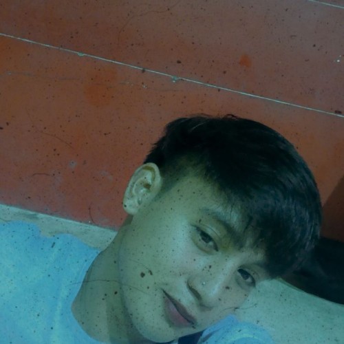 Olmar A.