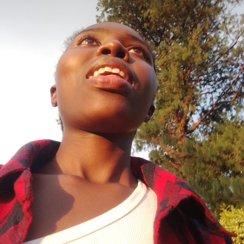 Shillen  L. profile photo