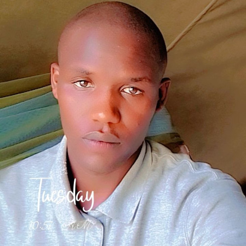 Daniel  S. profile photo