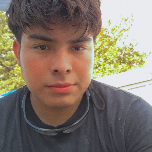 gudiel g.