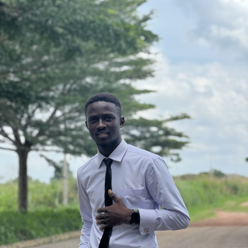 Iretioluwa H.