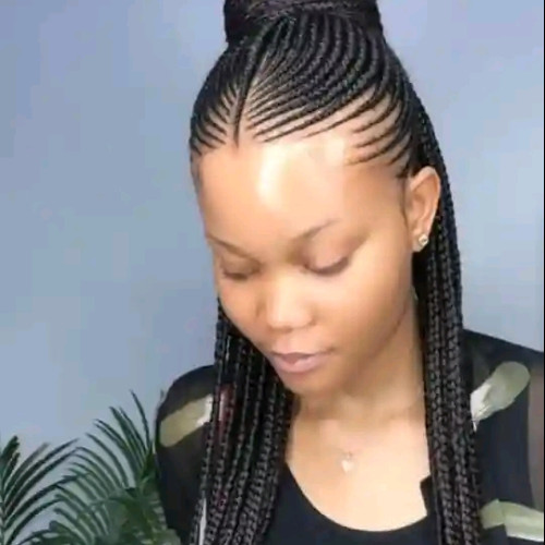 Shirley S. profile photo