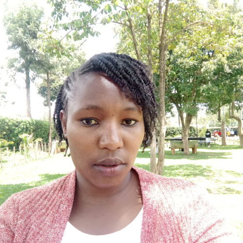Nolian N. profile photo