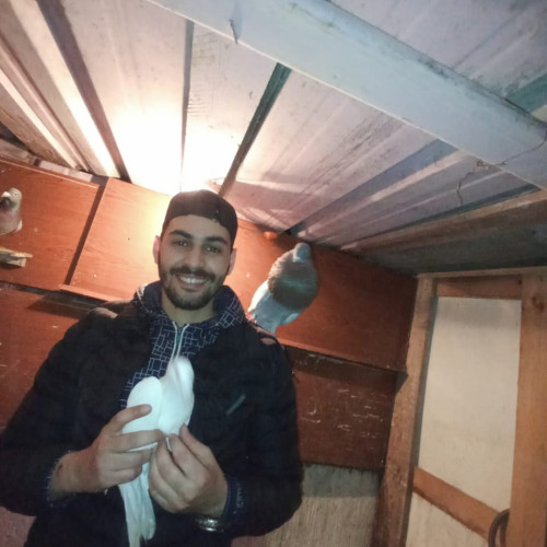 Anouar A. profile photo