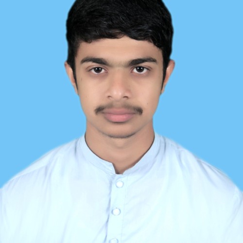 Husnain A. profile photo