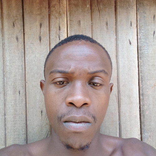 phil Y. profile photo