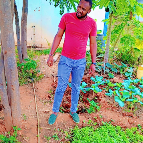 Josephat M. profile photo