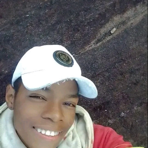 Ando  N. profile photo